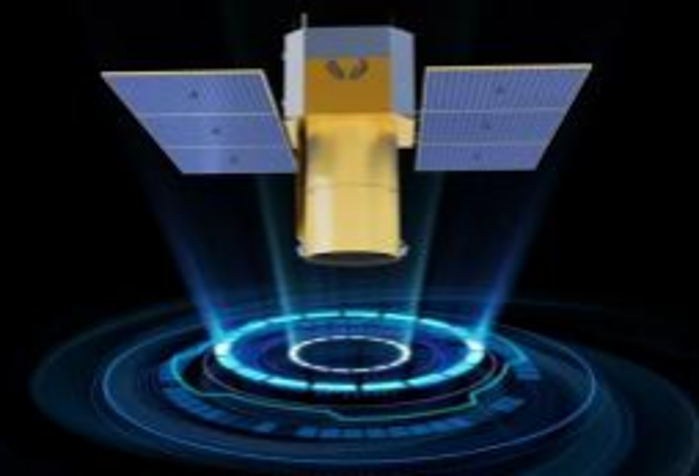 2026.3.12植樹節(jié)17